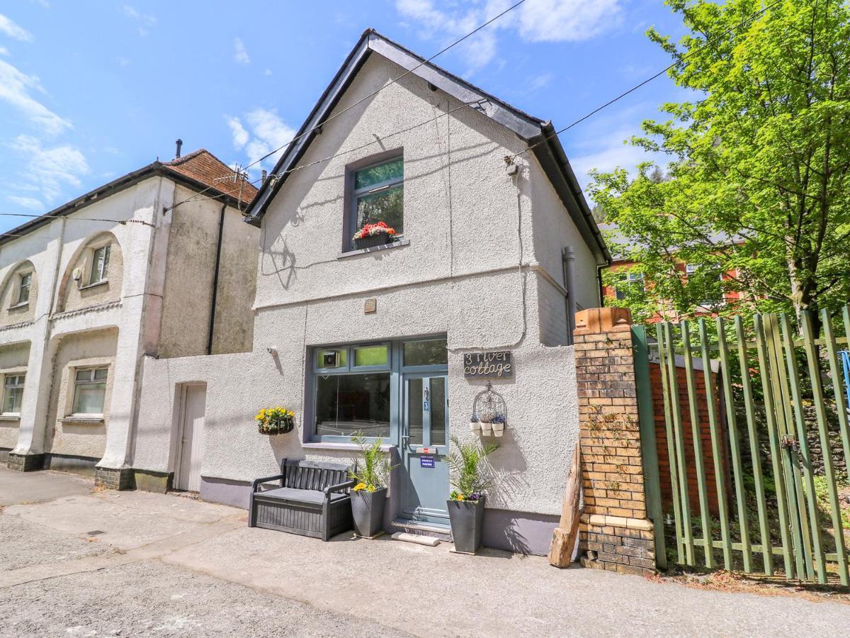 River Cottage Port Talbot Ngoại thất bức ảnh